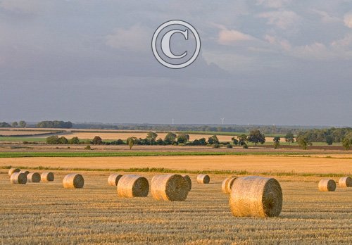 Round Straw Bales DM1260